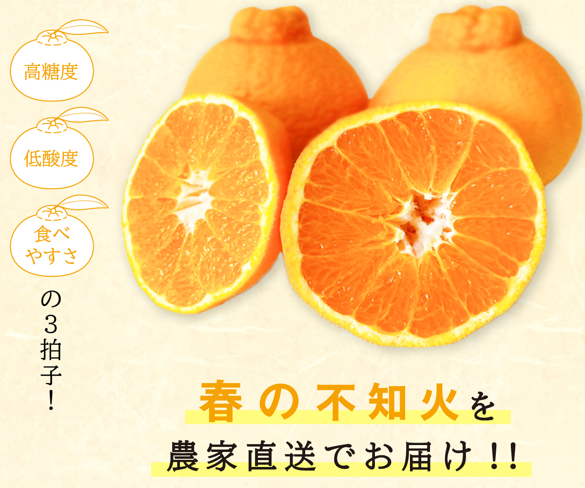 不知火デコ 20kg 和歌山県産 ハウス栽培の完熟デコポン「甘デコ」 <BR>和歌山県産【送料無料