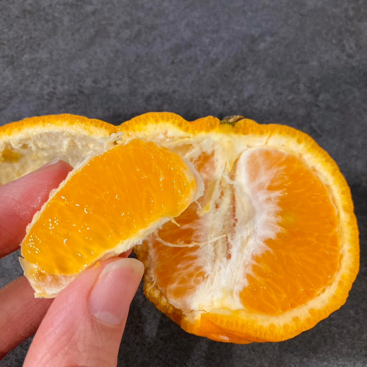 こだわり抜かれた美味しいポンカンを産地直通販でお取り寄せ